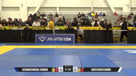 Alexander Michael Johnson vs Joseph Benito Garner 2025 World IBJJF Jiu-Jitsu No-Gi Championship