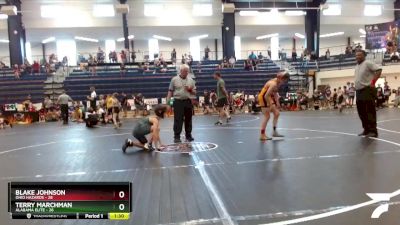 95 lbs Round 5 (6 Team) - Terry Marchman, Alabama Elite vs Blake Johnson, Ohio Hazards