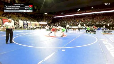 215 Class 3 lbs Quarterfinal - Stevan Benhumea, McDonald County vs Haze Middleton, Smithville
