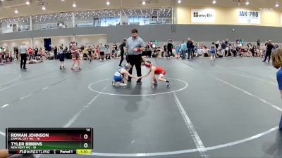 80 lbs Round 4 (6 Team) - Rowan Johnson, Capital City WC vs Tyler Bibbins, New Kent WC