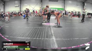 122 lbs Semis (4 Team) - Harrison Murdock, Storm Wrestling Center vs AJ DeLacruz, Team Palmetto