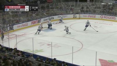 Ben Danford Hit and Fight | 2026 Rockford IceHogs vs Toronto Marlies