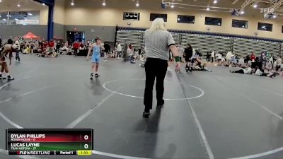 96 lbs Round 3 (4 Team) - Lucas Layne, Team Gotcha vs Dylan Phillips, Rough House