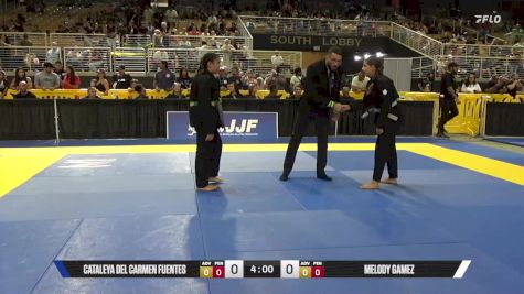Cataleya Del Carmen Fuentes vs Melody Gamez 2025 Pan Kids Jiu-Jitsu IBJJF Championship