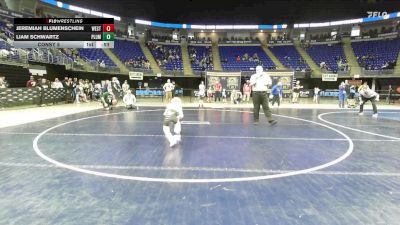 44 lbs Consy 5 - Jeremiah Blumenschein, West Perry vs Liam Schwartz, Plum