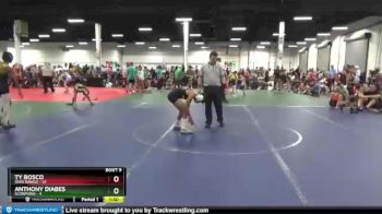 92 lbs Round 3 (8 Team) - Ty Bosco, Ohio Dawgz vs Anthony Diabes, Scorpions