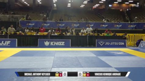 Vinicius Henrique Andrade vs Michael Anthony Heyliger 2026 Pan Jiu Jitsu IBJJF Championship