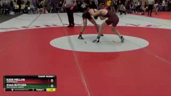 132 lbs Champ. Round 1 - Evan Butcher, Westerville North vs Kade Mellon, Wadsworth