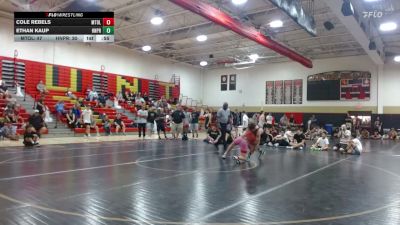 High School - 132 lbs Semifinals (8 Team) - Cole Rebels, Mt. Olive vs Ethan Kaup, Hanover Park
