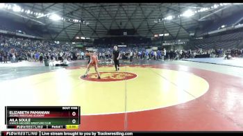 115 lbs Cons. Round 3 - Elizabeth Pamanian, Ascend Wrestling Academy vs Aila Soule, Ilwaco Anchors Wrestling Club