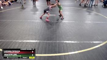 47 lbs Quarterfinal - Grayson Link, Summerville Takedown Club vs Luciana Patacca, KC Elite Training Center