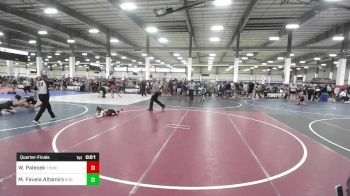 40 lbs Quarterfinal - Weston Palecek, Thundercats WC vs Molly Favela Altamirano, Sunnyside WC
