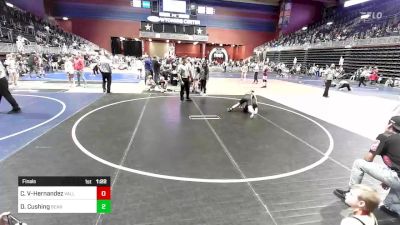 100 lbs Final - Christopher Vigil-Hernandez, Valley Wc vs Daisy Cushing, Bear Creek Jr. WC