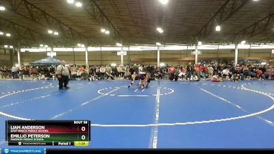 95 lbs Quarterfinal - Emillio Peterson, Madison Middle School vs Liam Anderson, East Minico Middle School