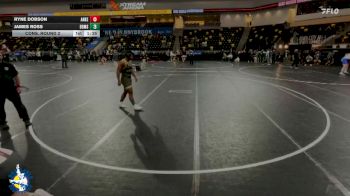 215 lbs Cons. Round 2 - Ryne Dobson, Ankeny vs James Ross, Brown Deer/Messmer/Shorewood