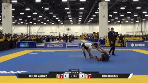 Kleber Barboza vs Junny Ocasio 2025 World IBJJF Jiu-Jitsu No-Gi Championship