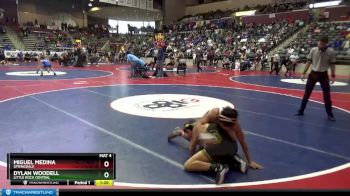 6A 113 lbs Quarterfinal - Miguel Medina, Springdale vs Dylan Woodell, Little Rock Central