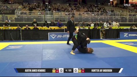 Huntter Jay Anderson vs Austin James Hembree 2025 Pan Jiu Jitsu IBJJF Championship