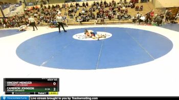 141 lbs Quarterfinal - Cameron Johnson, Aurora Universtiy vs Vincent Menozzi, University Of Chicago