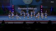 Manatee Wildcats - Southeast [2024 FYD Pop Warner Thursday] 2024 Pop Warner National Cheer & Dance Championship