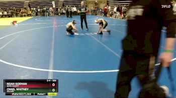 100 lbs Champ. Round 1 - Noah Goeman, Quad County vs Chael Whitney, Walker