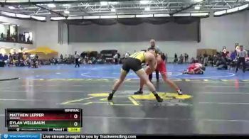 197 lbs Semifinal - Dylan Wellbaum, Adrian vs Matthew Lepper, Wabash