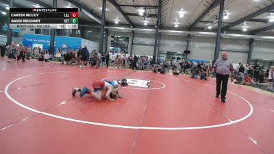 100 lbs Semifinal - Carter McCoy, Lilly vs Gavin Reichart, Littlestown