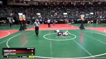 120 lbs Quarterfinal - Aiden Wilson, Unattached vs Caden Kaleal, WGW2