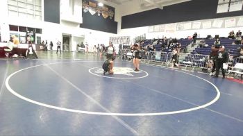 110 lbs Quarterfinal - Alejandra Suarez, South Hills vs Zoey Vallejo, Northview