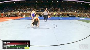 D2-165 lbs Semifinal - Naythan Dobson, Greenville HS vs Ben Triola, Fenton HS