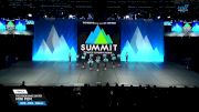 The Vision Dance Center - Mini Pom [2025 Mini - Pom - Small Finals] 2025 The Dance Summit