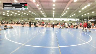 112 lbs Round Of 32 - Parker Holt, All-American Wrestling Club MS vs Brandon Lefler, North Carolina National Team Blue