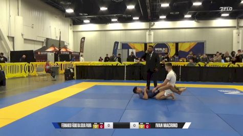 Przemyslaw P. Ziembikiewicz-Mysi vs Fernando Fábio Da Silva Paiva 2024 World IBJJF Jiu-Jitsu No-Gi Championship