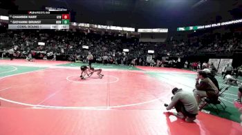 95 lbs Cons. Round 1 - Giovanni Brunst, WSW1 vs Chansen Hart, ATW2
