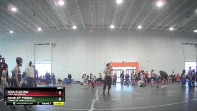 66 lbs Round 3 - Bentley Young, Team Bear Wrestling Club vs Aria Bushaw, Carolina Reapers