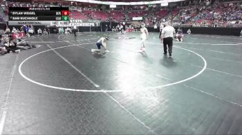 D2-138 lbs Quarterfinal - Dylan Weigel, Belmont/Platteville vs Sam Buchholz, Lake Country Luth.