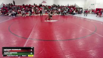 113 lbs Cons. Round 3 - Anthony Rodriguez, Vista Peak vs Mario Espinoza, Pueblo County
