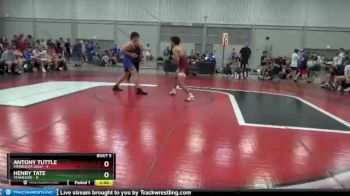 182 lbs Semis & 1st Wrestleback (8 Team) - Antony Tuttle, Minnesota Gold vs Henry Tate, Tennessee