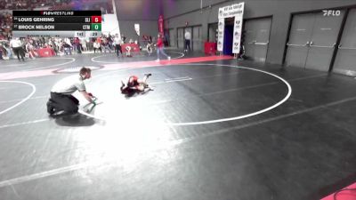 75 lbs Cons. Round 3 - Brock Nelson, Stanley-Boyd vs Louis Gehring, Slinger