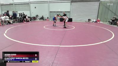 106 lbs Semis & 3rd Wb (16 Team) - Ayden Dodd, Ohio Blue vs D`Anthony Garcia Reyes, Washington