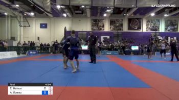 Cole Nelson vs Alejandro Gomez Zeledon 2018 Pan Jiu-Jitsu IBJJF No Gi Championship