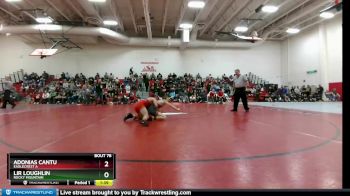 113 lbs Champ. Round 2 - Adonias Cantu, Eaglecrest A vs Lir Loughlin, Rocky Mountain