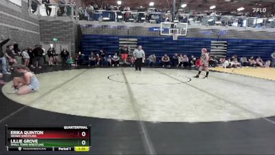 95 lbs Quarterfinal - Lillie Grove, Small Town Wrestling vs Erika Quinton, Weiser Wrestling