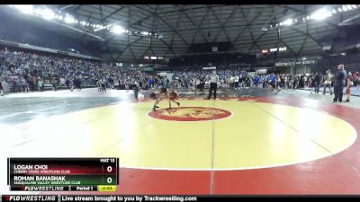82 lbs Champ. Round 1 - Logan Choi, Cherry Creek Wrestling Club vs Roman Banashak, Snoqualmie Valley Wrestling Club