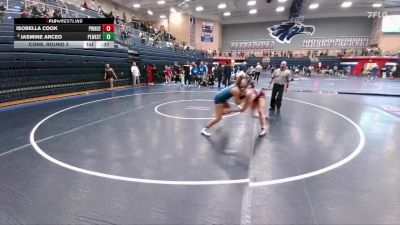 152 lbs Cons. Round 2 - Jasmine Arceo, Plano West vs Isobella Cook, Princeton