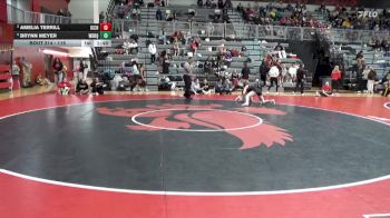 115 lbs Cons. Semi - Brynn Meyer, Western Dubuque vs Amelia Terrill, Iowa City High