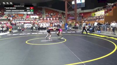 100 lbs Cons. Round 2 - Audry Johnson-Wood, Santa Fe Trail Hs vs Alix Wilson, McPherson HS