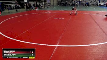 65 lbs Placement (4 Team) - Charlie Jarva, Grand Rapids vs Brody Fette, Farmington
