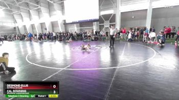 52 lbs Champ. Round 2 - Cal Downing, Wyoming Underground vs Desmond Ellis, Olympus Skyline