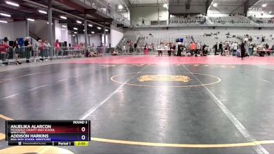 125 lbs Round 4 - Toby Goertz, Purler Wrestling Inc vs Rory Flores, Missouri